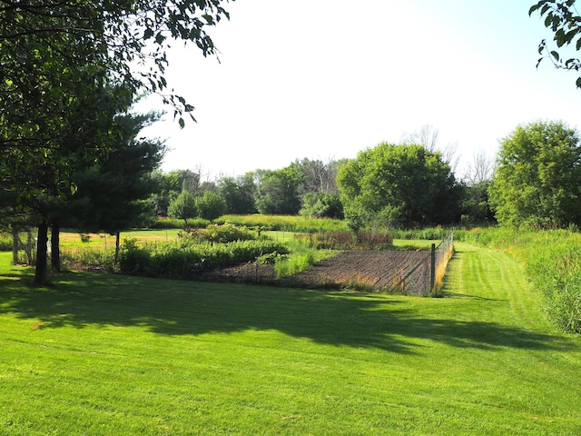 3126 137th Ave NE, Ham Lake, MN 55304 - view of grassy yard