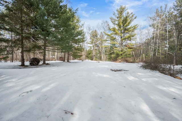 view of yard covered in snow