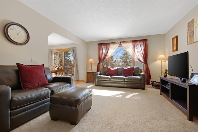 living room with plenty of natural light, a textured ceiling, and carpet