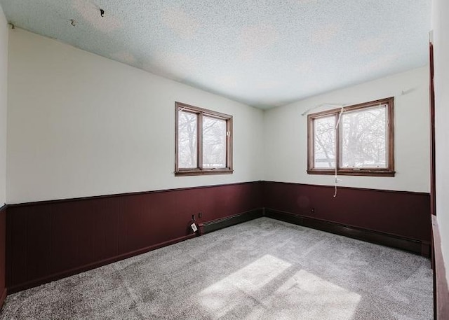 carpeted empty room featuring wood walls, a textured ceiling, and wainscoting