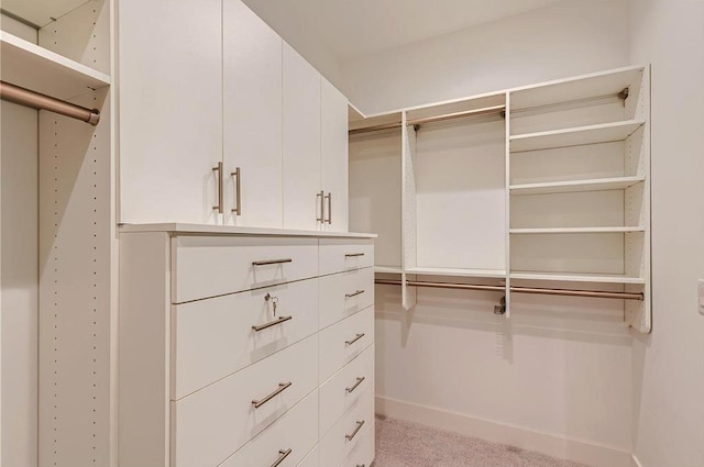 walk in closet with light carpet
