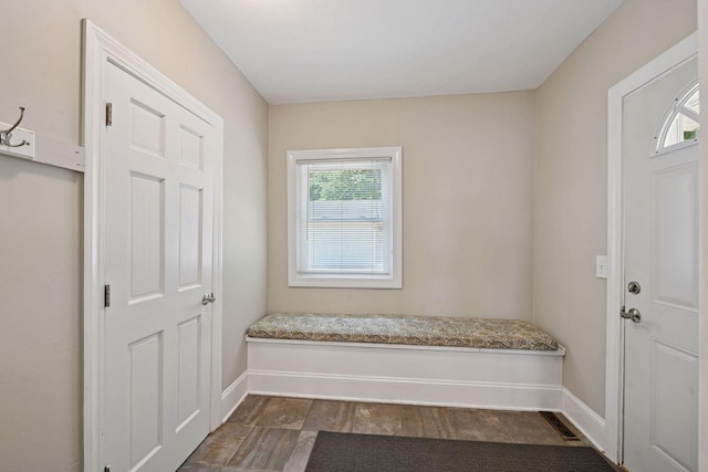 301 Lake St, Waconia, MN 55387 - mudroom featuring baseboards