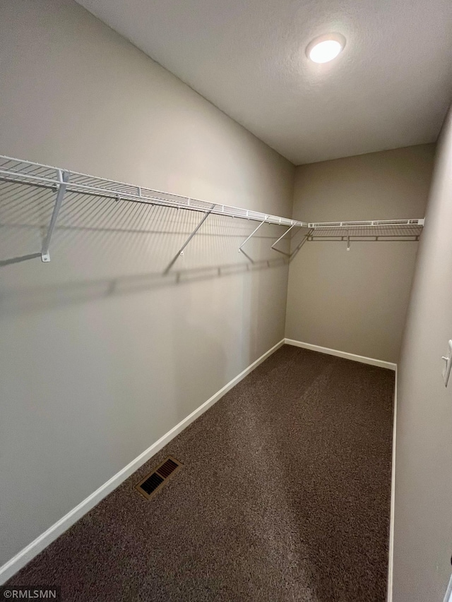 spacious closet featuring carpet and visible vents