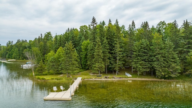 35365 Boot Lake Rd, Park Rapids, MN 56470 - view of dock with a water view