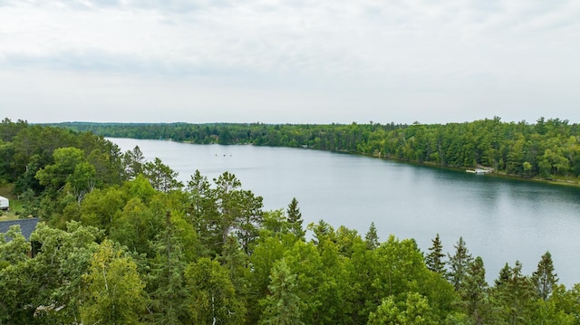 35365 Boot Lake Rd, Park Rapids, MN 56470 - property view of water with a view of trees