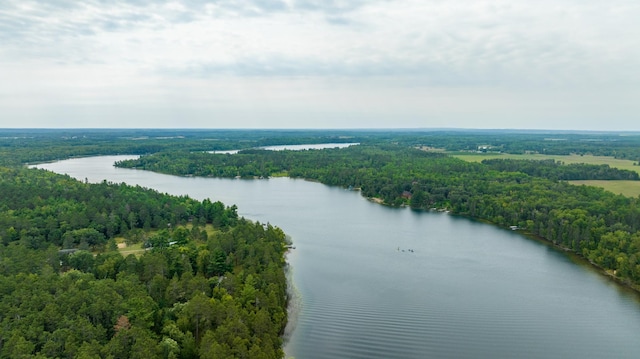 35365 Boot Lake Rd, Park Rapids, MN 56470 - birds eye view of property with a water view and a forest view