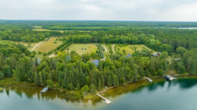 35365 Boot Lake Rd, Park Rapids, MN 56470 - bird's eye view featuring a water view and a wooded view