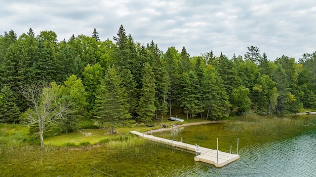 35365 Boot Lake Rd, Park Rapids, MN 56470 - dock area with a water view