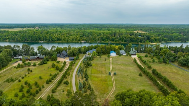 35365 Boot Lake Rd, Park Rapids, MN 56470 - drone / aerial view with a water view and a view of trees