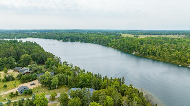 35365 Boot Lake Rd, Park Rapids, MN 56470 - drone / aerial view featuring a water view and a view of trees