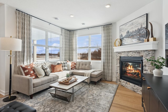 living area featuring a fireplace and wood finished floors