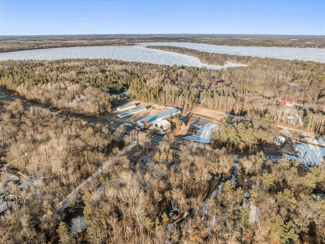 birds eye view of property featuring a water view and a forest view