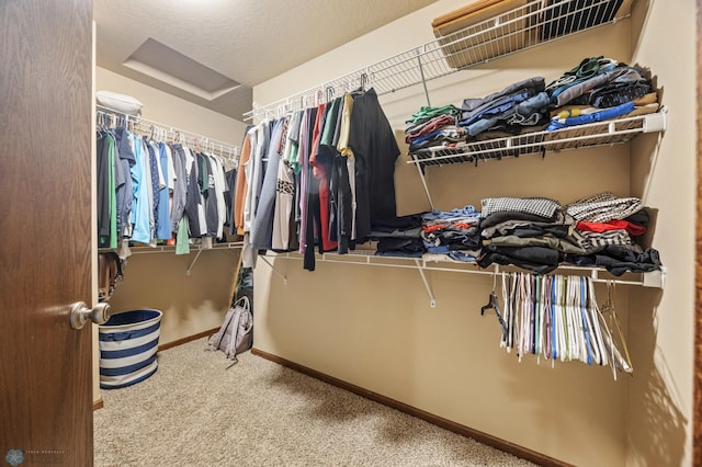 walk in closet with attic access and carpet