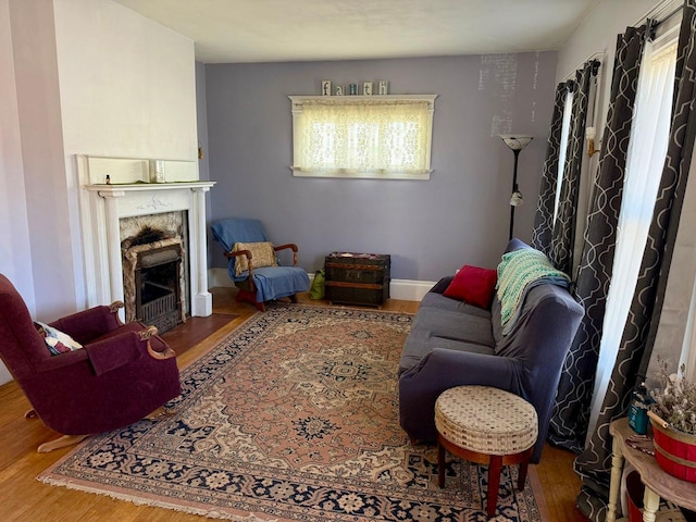 living room with a fireplace with flush hearth and wood finished floors