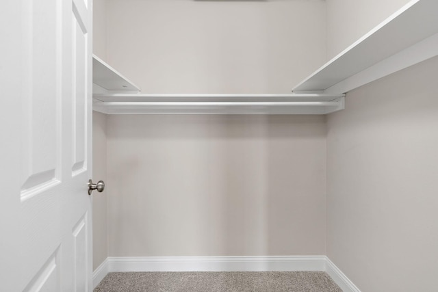 spacious closet featuring carpet floors