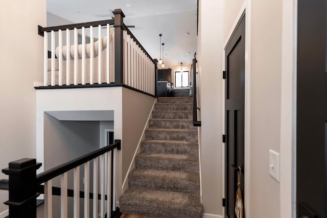 stairway with carpet flooring