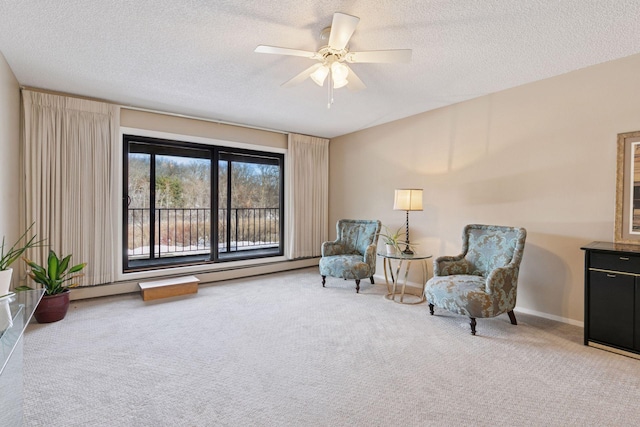 living area featuring a baseboard heating unit, a textured ceiling, and carpet flooring