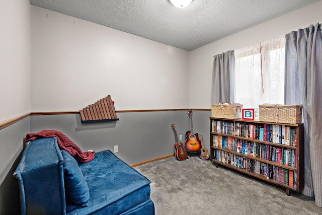 living area with carpet flooring and a textured ceiling