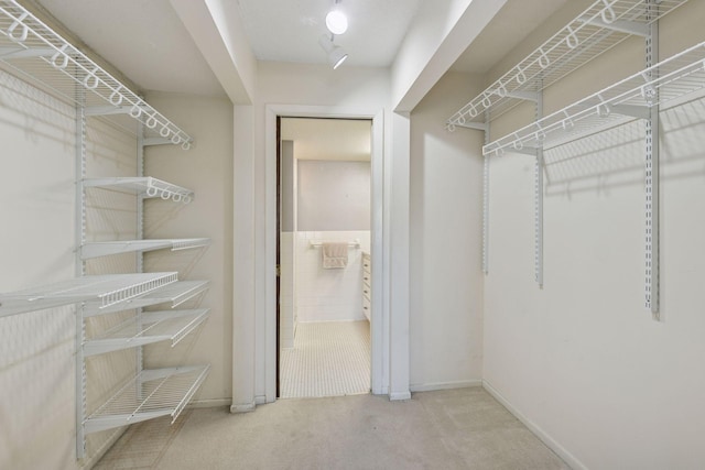 walk in closet featuring carpet flooring