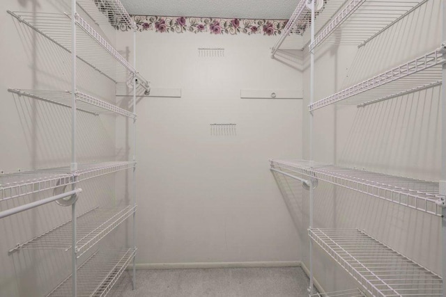 spacious closet featuring carpet flooring