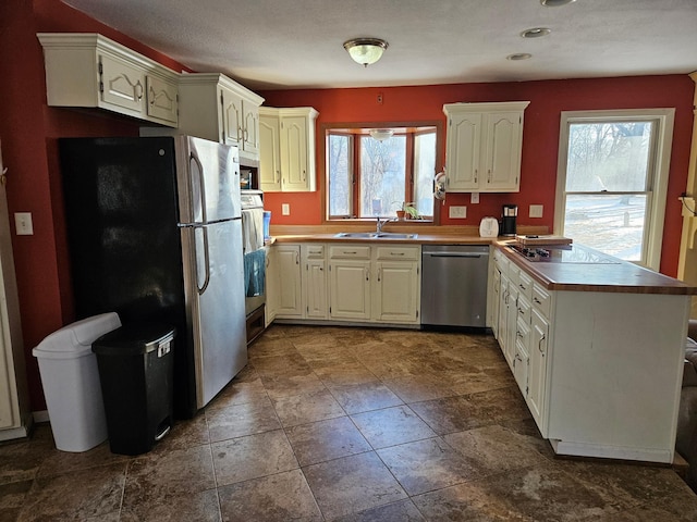 21888 650th Ave, Dexter, MN 55926 - kitchen with appliances with stainless steel finishes, a peninsula, and healthy amount of natural light