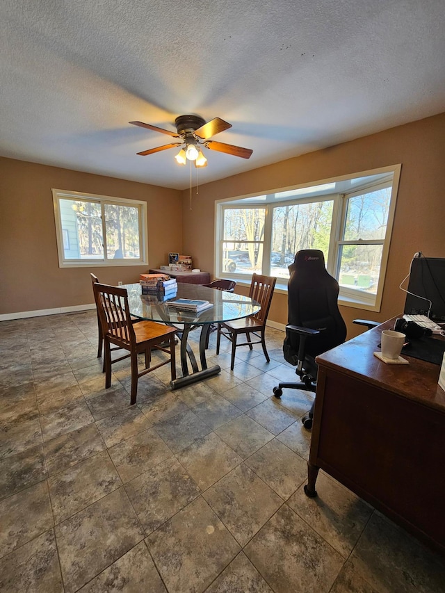21888 650th Ave, Dexter, MN 55926 - dining area with plenty of natural light, ceiling fan, and a textured ceiling