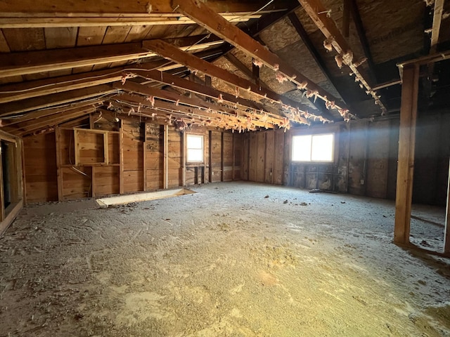 21888 650th Ave, Dexter, MN 55926 - view of attic