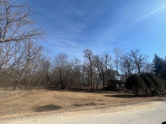 21888 650th Ave, Dexter, MN 55926 - view of asphalt street