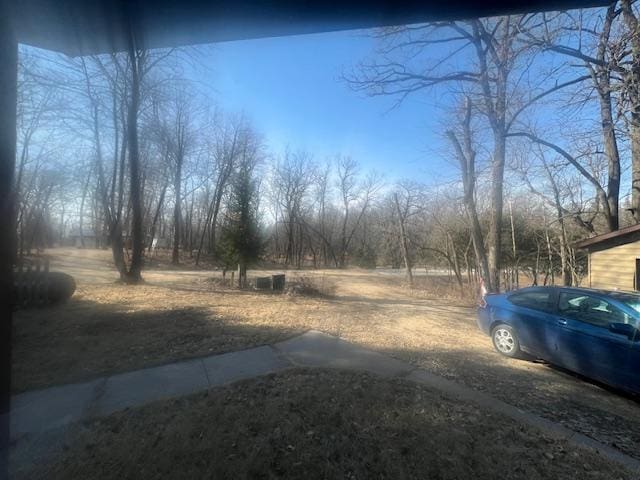 21888 650th Ave, Dexter, MN 55926 - view of yard