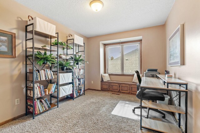 office featuring baseboards, carpet flooring, and a textured ceiling
