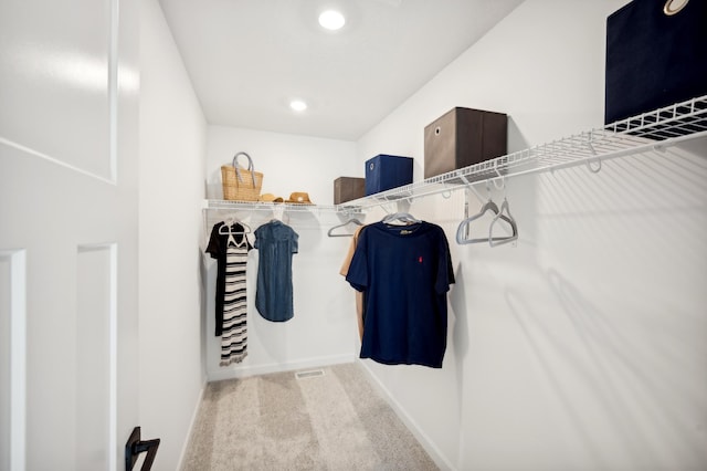 walk in closet featuring carpet floors