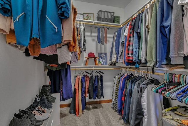 walk in closet featuring carpet flooring