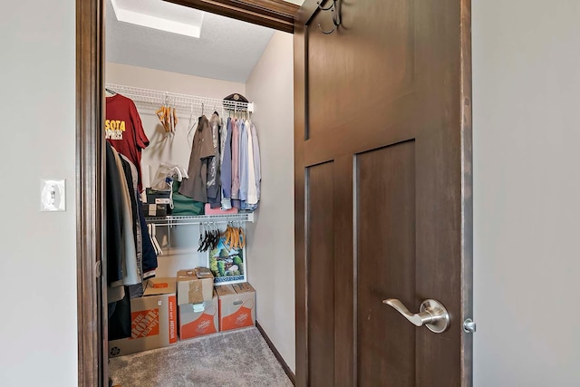 view of closet