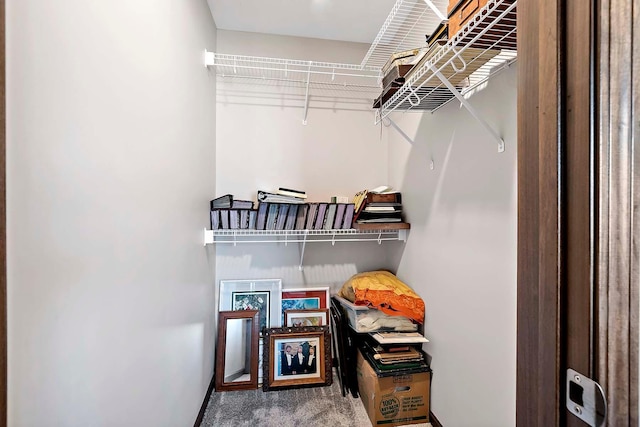 walk in closet featuring carpet flooring