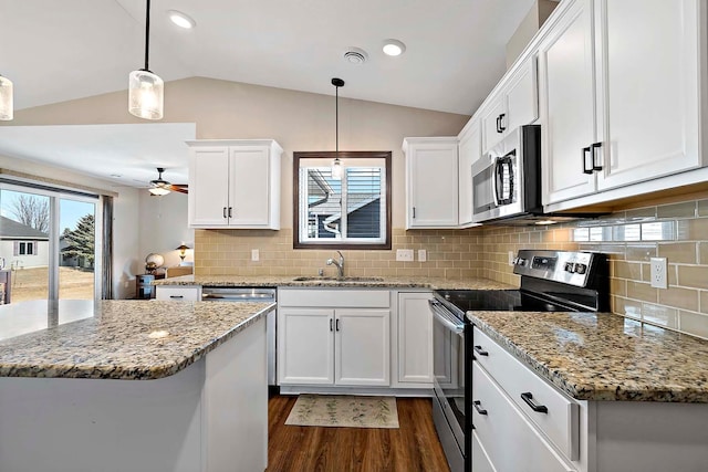 kitchen with a sink, dark wood finished floors, vaulted ceiling, ceiling fan, and appliances with stainless steel finishes