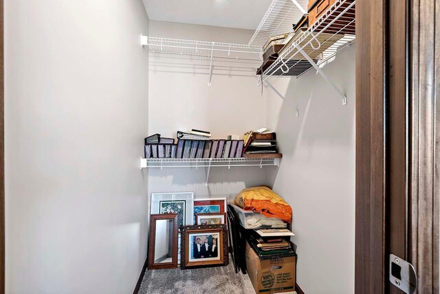 spacious closet with carpet flooring
