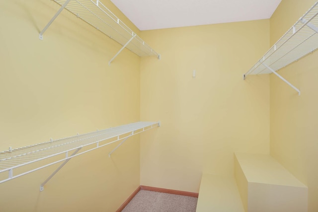 spacious closet featuring carpet floors