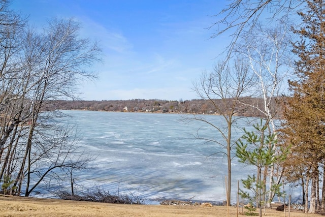 property view of water