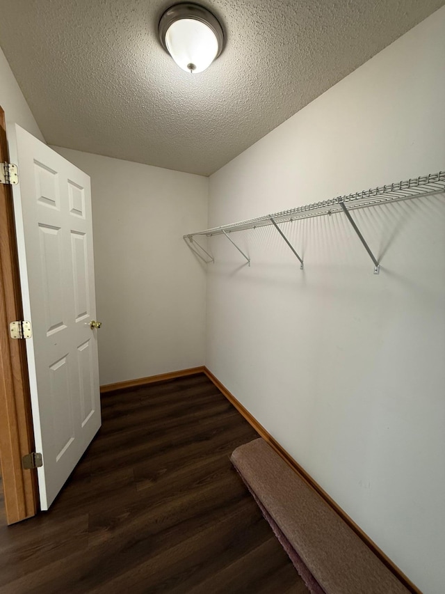 spacious closet featuring dark wood-type flooring