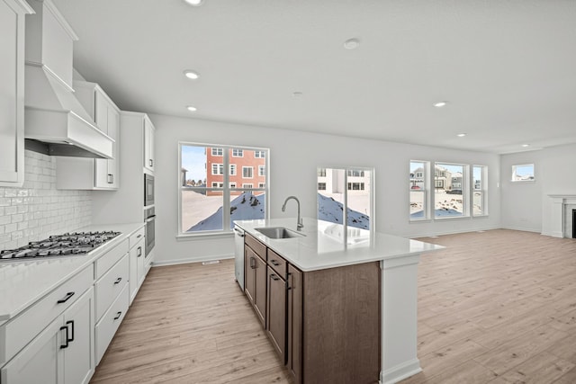 kitchen with tasteful backsplash, appliances with stainless steel finishes, light wood-style floors, a sink, and premium range hood