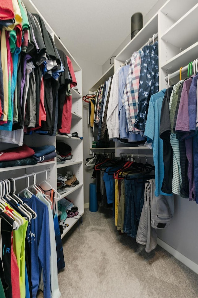 walk in closet with carpet flooring