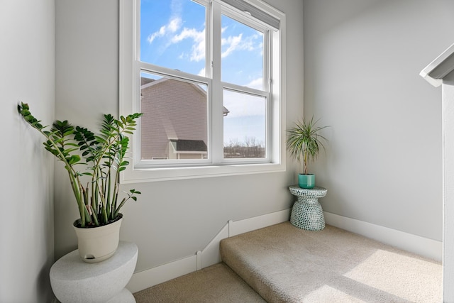 interior space with carpet and baseboards