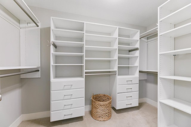 spacious closet featuring light colored carpet