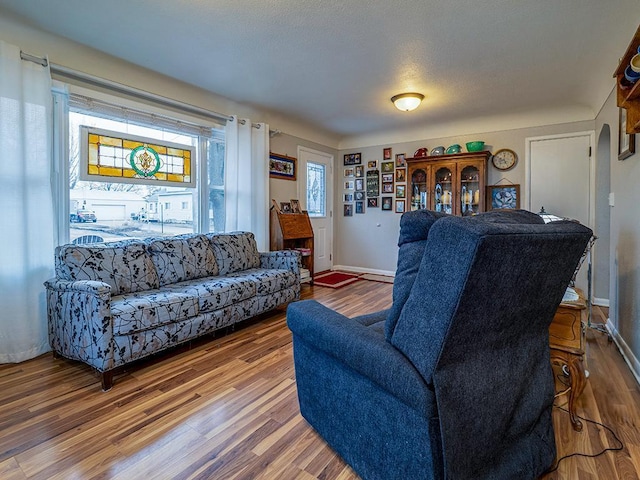 living room featuring baseboards and wood finished floors