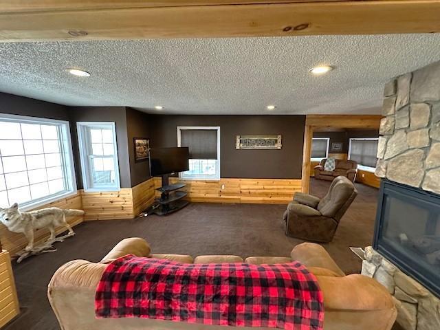 1344 385th Ave, Ten Mile Lake Twp, MN 56218 - living area featuring a stone fireplace, carpet floors, a textured ceiling, and recessed lighting