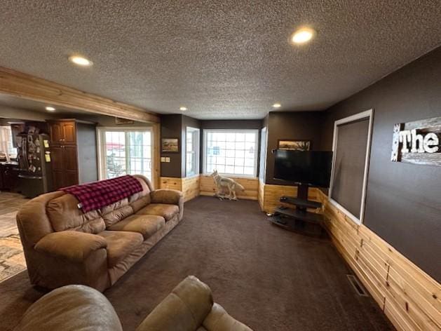 1344 385th Ave, Ten Mile Lake Twp, MN 56218 - living room featuring dark colored carpet, a textured ceiling, wainscoting, recessed lighting, and wooden walls