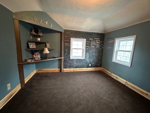 1344 385th Ave, Ten Mile Lake Twp, MN 56218 - carpeted spare room with vaulted ceiling and baseboards