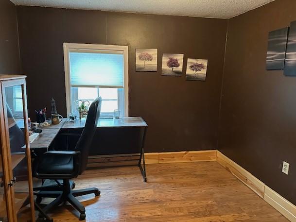 1344 385th Ave, Ten Mile Lake Twp, MN 56218 - office space with wood finished floors, baseboards, and a textured ceiling