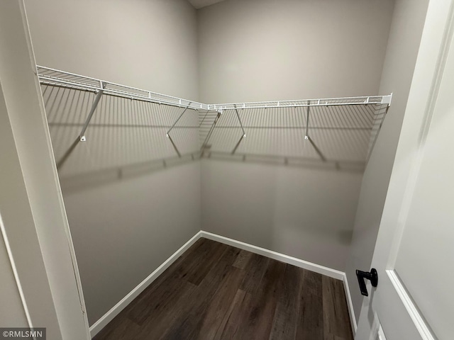 walk in closet with wood finished floors