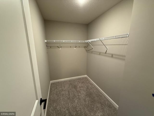 spacious closet with carpet floors